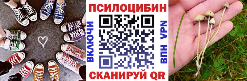 darknet клад  Севск  Псилоцибиновые грибы Magic Shrooms  купить   кракен ссылки 